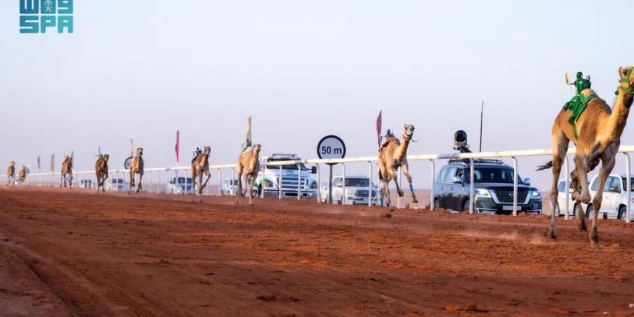 نتائج
      الفائزين
      بالأشواط
      الأولى
      في
      جائزة
      الملك
      عبدالعزيز
      لسباقات
      الهجن