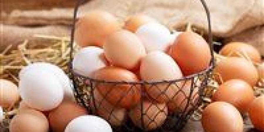 أسعار
      البيض
      اليوم
      تعكس
      تحركات
      السوق