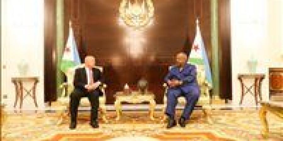 رئيس جمهورية جيبوتي يستقبل وزير الصناعة والنقل.. تفاصيل