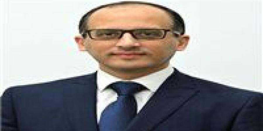 الحمصاني: خطة الدولة الخاصة بإصلاح الهيئات الاقتصادية لا ترتبط بملف خفض الدين العام