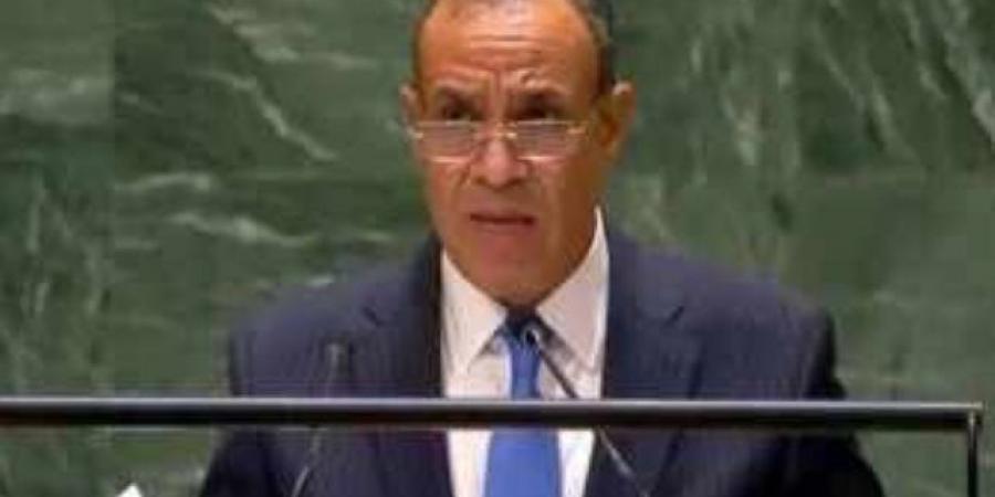 وزير الخارجية: مصر لن تسمح بتصفية القضية الفلسطينية والتهجير خط أحمر