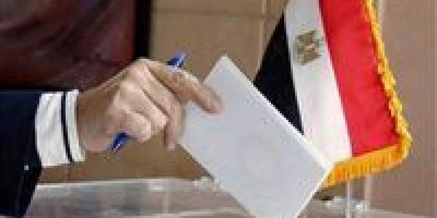 السفارات المصرية في 18 دولة تفتح أبوابها لاستقبال الناخبين في انتخابات مجلس النواب