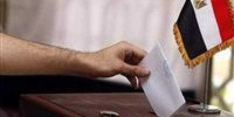 جولة الإعادة للدوائر الملغاة.. غلق باب التصويت في اليوم الأول لجان بسفارات وقنصليات مصر بدول نيوزيلندا وأستراليا وكوريا واليابان