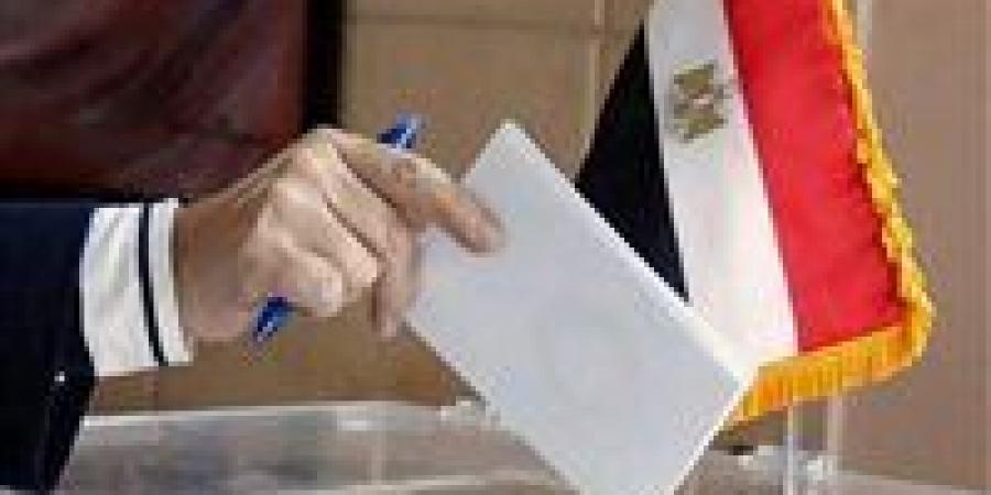 السفارة المصرية في إيران تفتح لجان التصويت للمصريين بالخارج