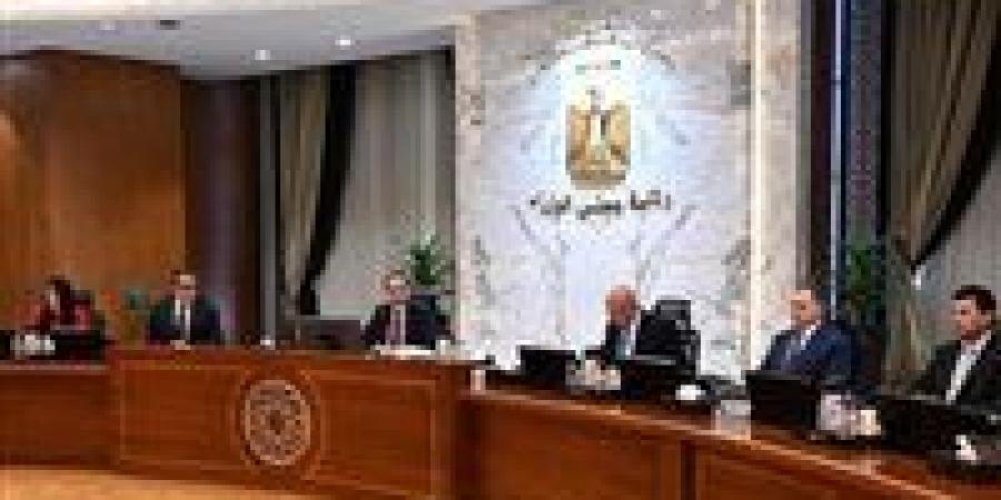 الحكومة توافق على مد العمل بالتأشيرة الترانزيت مجاناً لمدة عام