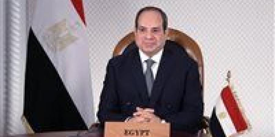 مناشدا الرئيس التدخل لحل أزمة المستثمرين.. محمود عصام: إلغاء العدادات التبادلية يهدد مستقبل الصناعة الخضراء في مطلع العام الجديد