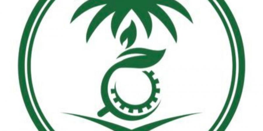 وظائف شاغرة في المركز الوطني للرقابة على الالتزام البيئي