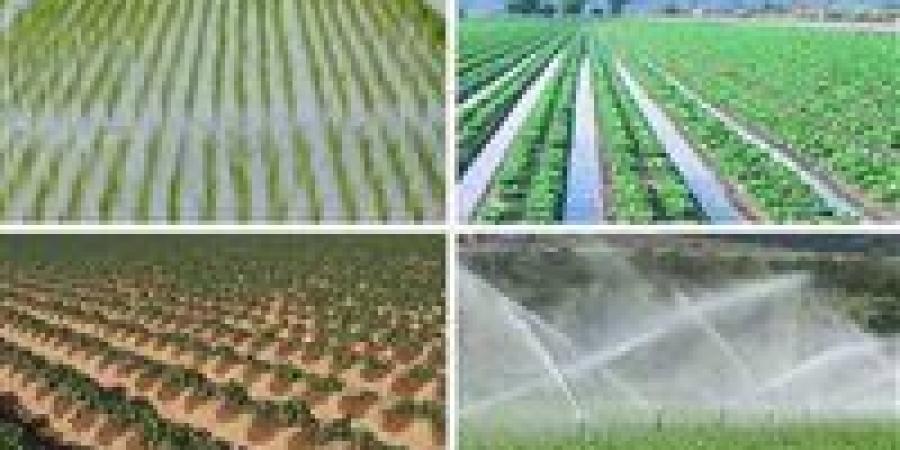 عقوبات تصل للحبس والغرامة.. قانون الري يحظر التعدي على شبكات المياه والمصارف..مبيت