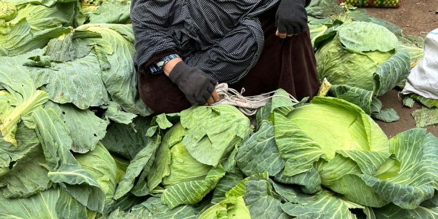 لديها 12 حفيدًا .. حكاية الحاجة شهيرة بكفر الشيخ والسعي وراء لقمة العيش تحت المطر