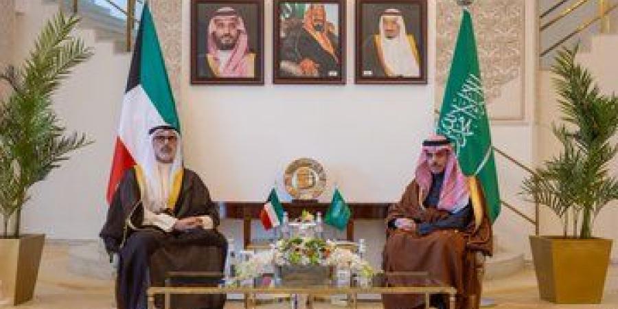 وزير الخارجية يستقبل وزير خارجية دولة الكويت