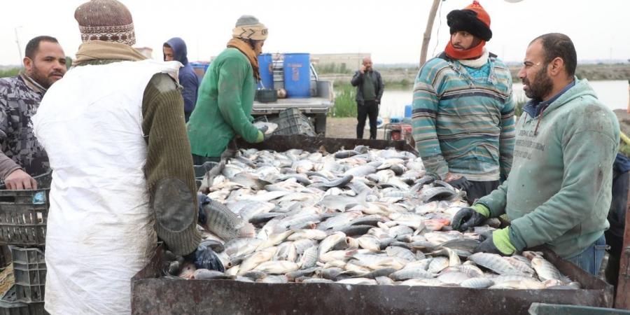 محافظ الشرقية: مزرعة العباسة نموذج رائد للإستثمار السمكي بطاقة إنتاجية تصل لـ٣.٥ طن للفدان