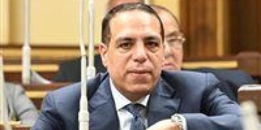 الصافي عبد العال: توجيهات الرئيس السيسي للحكومة تعكس رؤية استراتيجية لتعزيز الاستقرار الاقتصادي ودعم المواطن