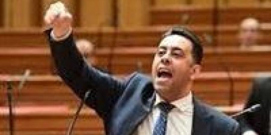 النائب أحمد فرغلي: تطوير نظام التأمينات تحول إلى فشل يُعطل معاشات المواطنين