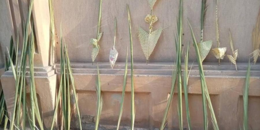 رمز بداية العام والحياة المتجددة.. عيد السعف في مصر تراث فرعوني متجدد