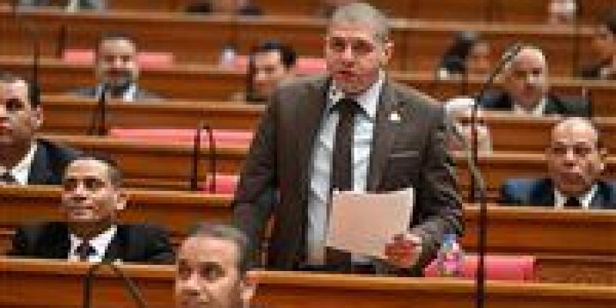 النائب أحمد جبيلي: متابعة السلع الاستراتيجية ركيزة أساسية لاستقرار الأسواق وحماية المواطن