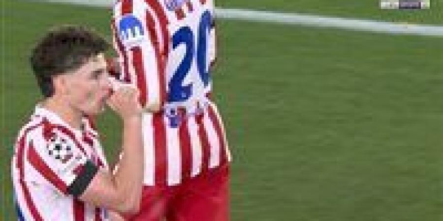 برشلونة ضد أتلتيكو مدريد.. تابع الآن هدف جوليان ألفاريز العالمي في مباراة برشلونة وأتلتيكو مدريد بدوري أبطال أوروبا