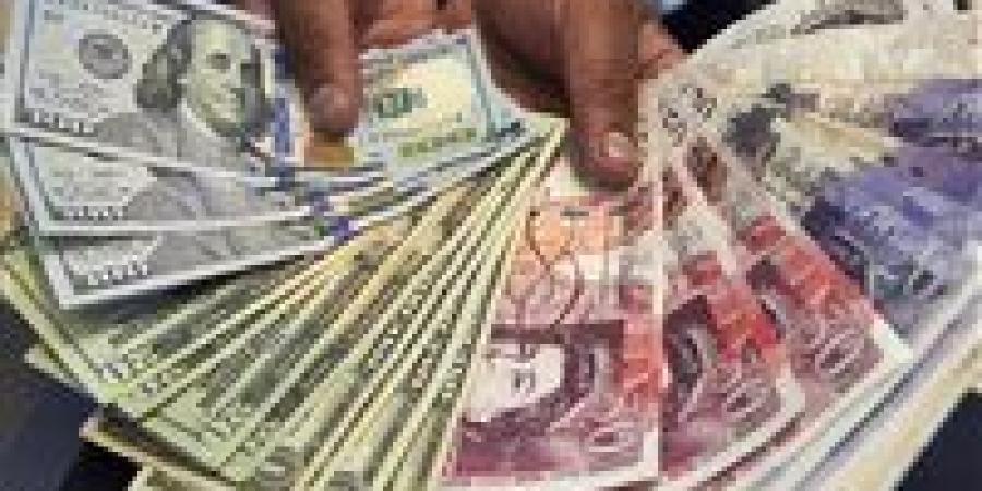 حملة أمنية بالقاهرة تضبط تجار عملة أجنبية لتفادي تقويض الاقتصاد المحلي