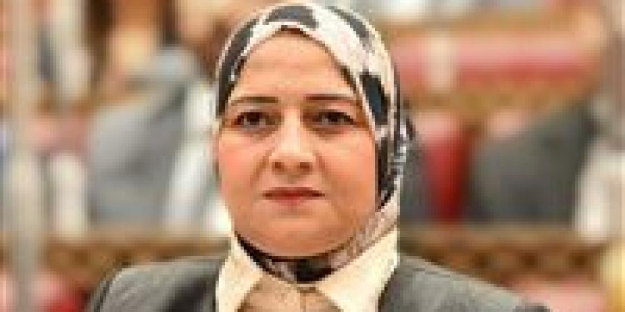 النائبة مروة قنصوه: توجيهات الرئيس بإحالة قانون الأسرة إلى البرلمان ستحقق نقلة نوعية داخل الأسر المصرية