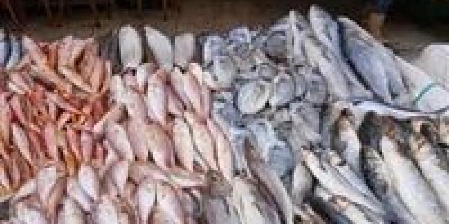 أسعار
      الأسماك
      في
      مصر
      مع
      زيادة
      الطلب
      خلال
      شم
      النسيم
      اليوم