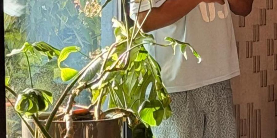 محمد
      رمضان:
      مفيش
      حاجة
      تستاهل
      إنك
      تهمل
      صلاتك
      عشانها