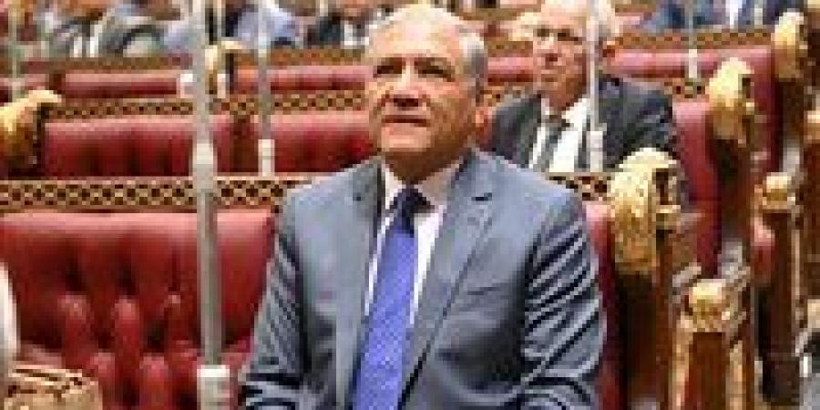 النائب عفت السادات: الدبلوماسية المصرية كلمة السر في تهدئة الأزمات وصناعة التوافقات الدولية