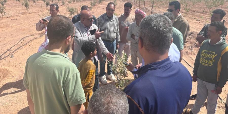 الزراعة
      تعلن
      حزمة
      دعم
      عاجلة
      لمتضرري
      السيول
      في
      سيناء
      واستصلاح
      أراضٍ
      على
      نفقة
      الوزارة