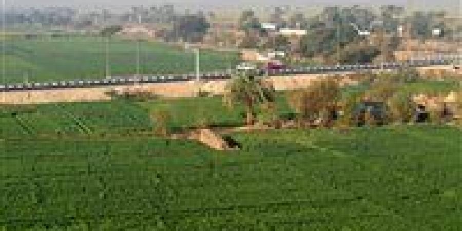 خاص|
      الأراضي
      الزراعية
      تتصدر
      قائمة
      الاستثمارات
      الأكثر
      أمانًا..
      خبير
      اقتصادي
      يكشف
      الأسباب