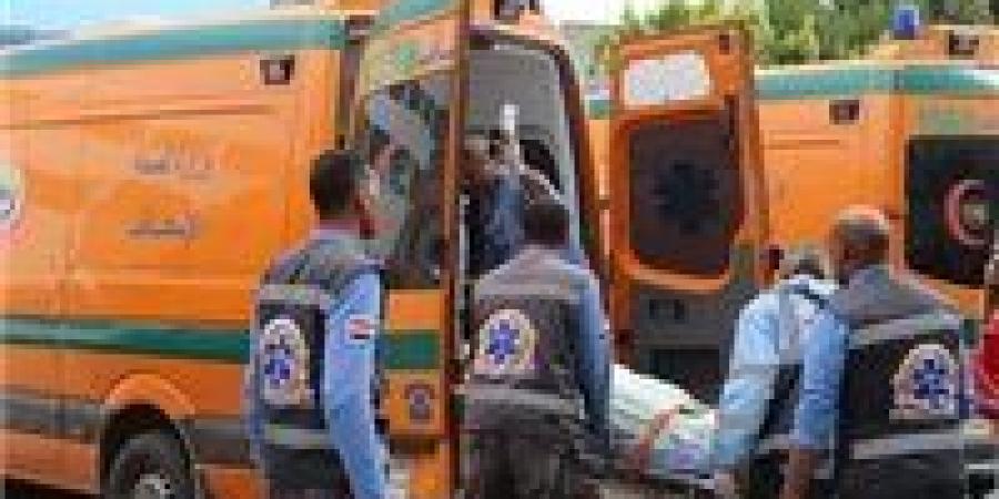 مصرع
      سائق
      في
      حادث
      تصادم
      بطريق
      الشيخ
      فضل
      بالمنيا