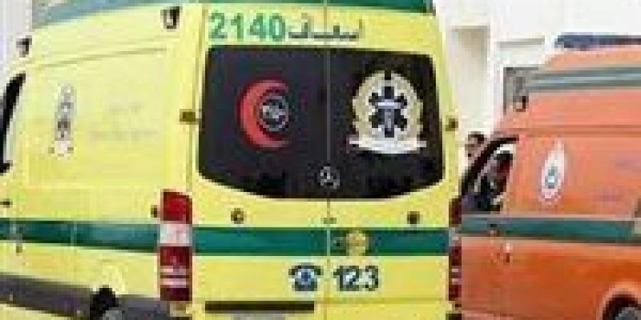 طفل
      في
      مرمى
      السرعة..
      دراجة
      نارية
      تصدم
      صغيرًا
      ببني
      سويف
      وقائدها
      طالب
      13
      عامًا