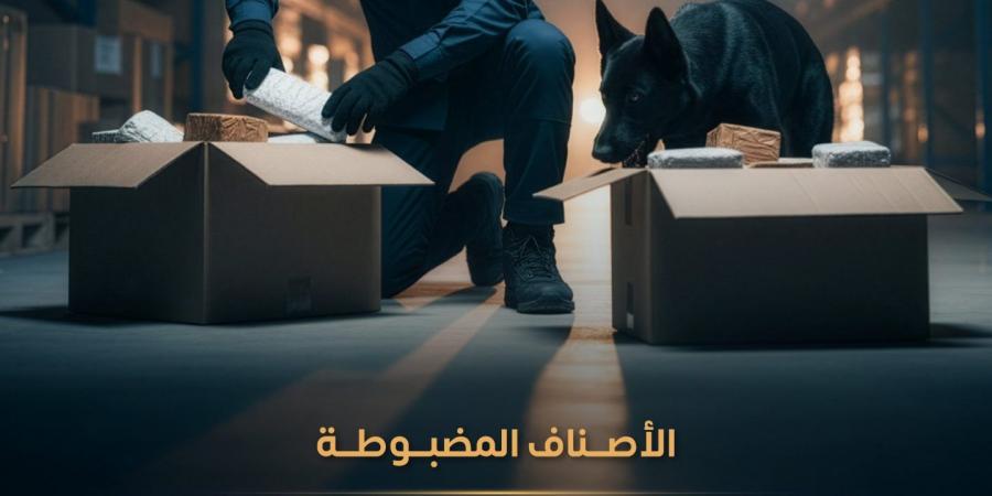 ضبط 1077 حالة تهريب عبر المنافذ الجمركية تشمل مواد محظورة ومخدرات وأسلحة