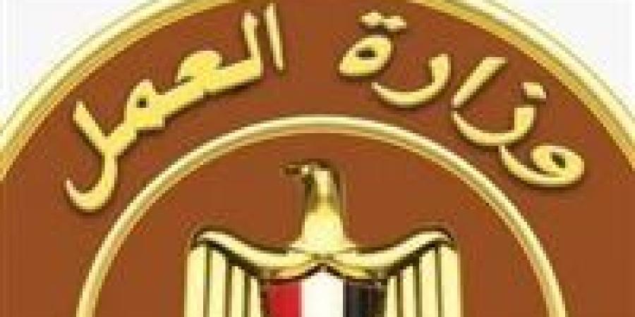 212
      فرصة
      عمل
      جديدة
      للشباب
      في
      السويس
      برواتب
      مجزية
      وتخصصات
      متنوعة