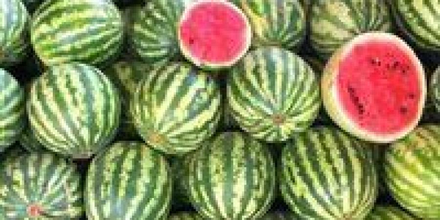 شائعات
      البطيخ
      تحت
      الحسم..
      مركز
      المناخ
      يوضح
      الحقيقة
      الكاملة
      للمواطنين