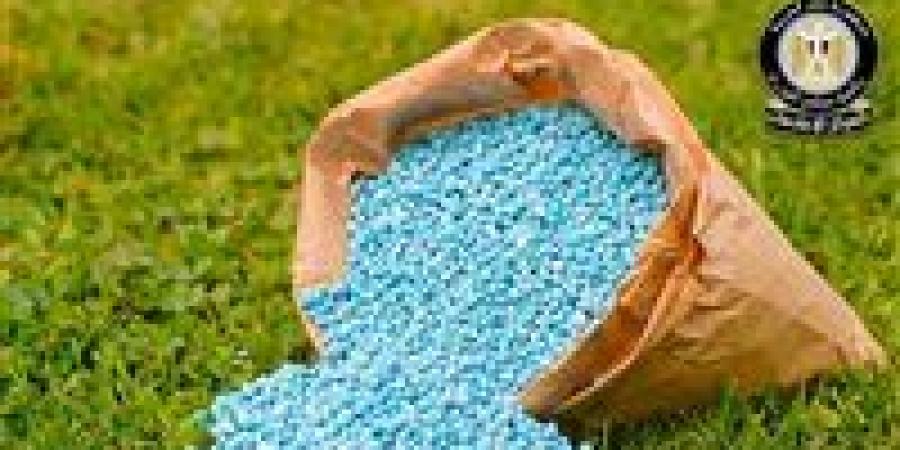 مجلس
      الوزراء
      يكشف
      حقيقة
      وجود
      أزمة
      في
      الأسمدة
      الزراعية
      للموسم
      الصيفي