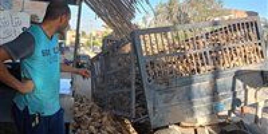 اختلال
      مقطورة
      جرار
      زراعي
      محمّلة
      بالبنجر
      في
      الفيوم
      بسبب
      أعمال
      الحفر
      دون
      إصابات