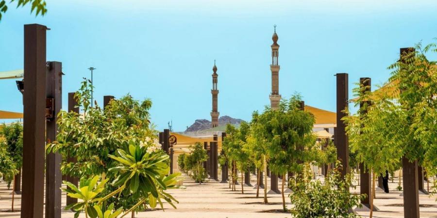 زراعة +60 ألف شجرة لدعم الاستدامة البيئية في المشاعر المقدسة