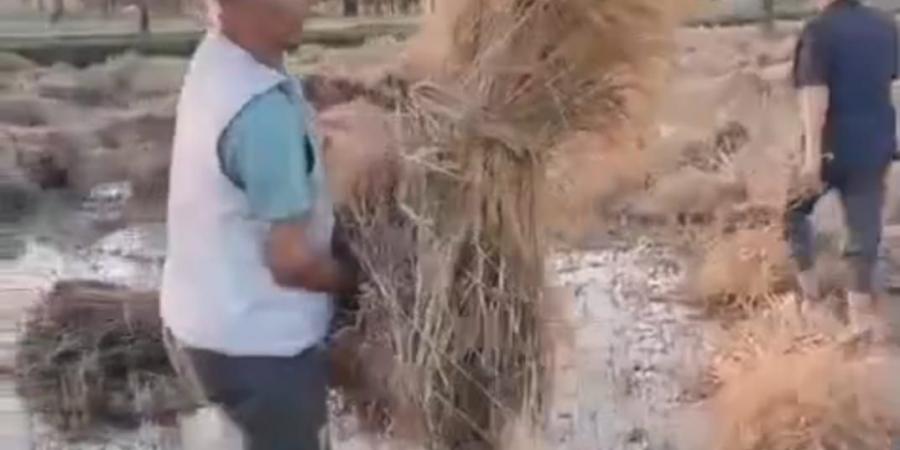 انفجار
      خط
      مياه
      يُغرق
      أرض
      قمح
      في
      “هواه
      –
      المقطع”
      ويقضي
      على
      موسم
      زراعي
      كامل