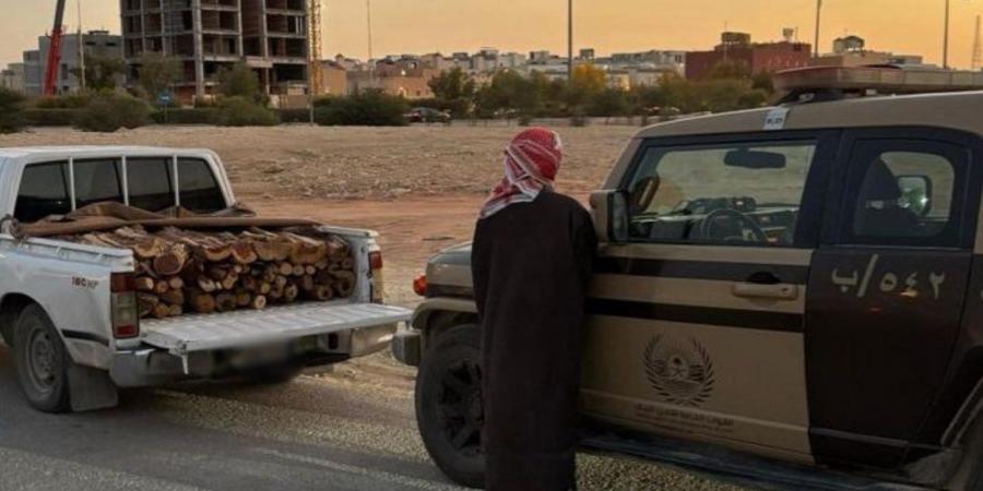 الأمن البيئي يضبط مخالفات نقل الحطب والرعي وإشعال النار في مواقع محظورة