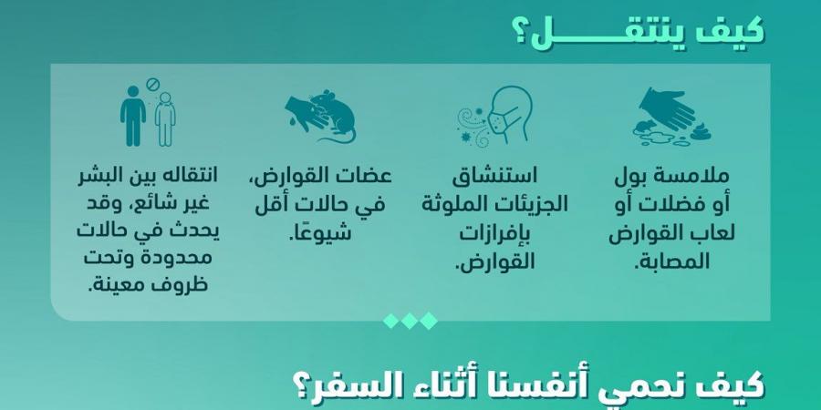 وقاية: خطر فيروس هانتا على المملكة منخفض جدًا وتدعو المسافرين للالتزام بالإرشادات الصحية