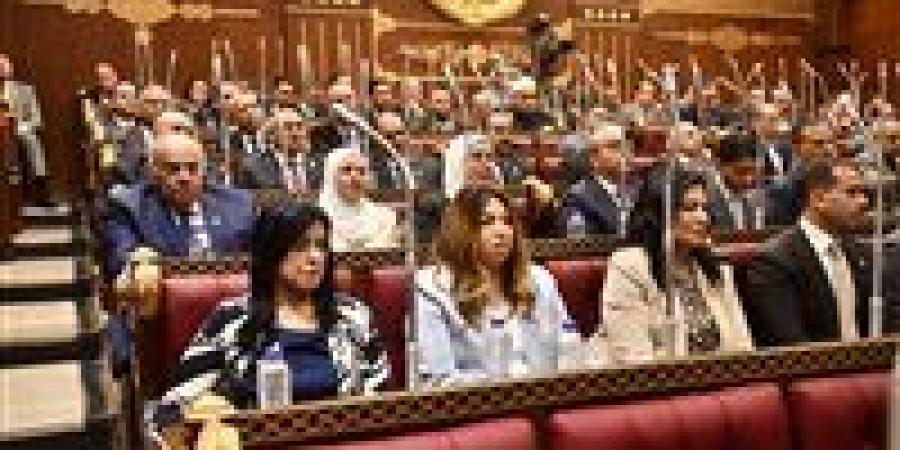 النائبة أماني تادرس أمام مجلس الشيوخ: "الشنط بتنزل متكسرة من على السير وده منظر مش حلو"