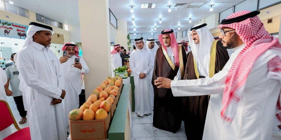 انطلاق مهرجان المانجو الثالث بالمخواة