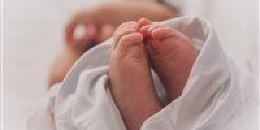 صرخة
      وسط
      القمامة..
      الأمن
      يكثف
      جهوده
      لكشف
      لغز
      رضيع
      أوسيم