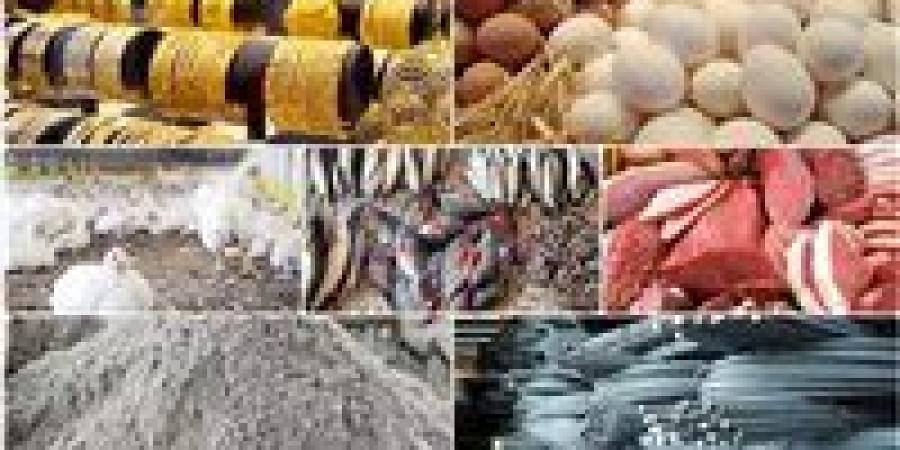 خريطة
      الأسعار
      اليوم
      في
      مصر..
      تراجع
      الدواجن
      والبيض
      وارتفاع
      الذهب
      والطماطم