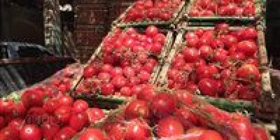 نقيب
      الفلاحين:
      الطماطم
      تخرج
      من
      الحقول
      بـ
      15
      جنيهاً
      وموجة
      الارتفاع
      تنتهي
      في
      هذا
      الموعد