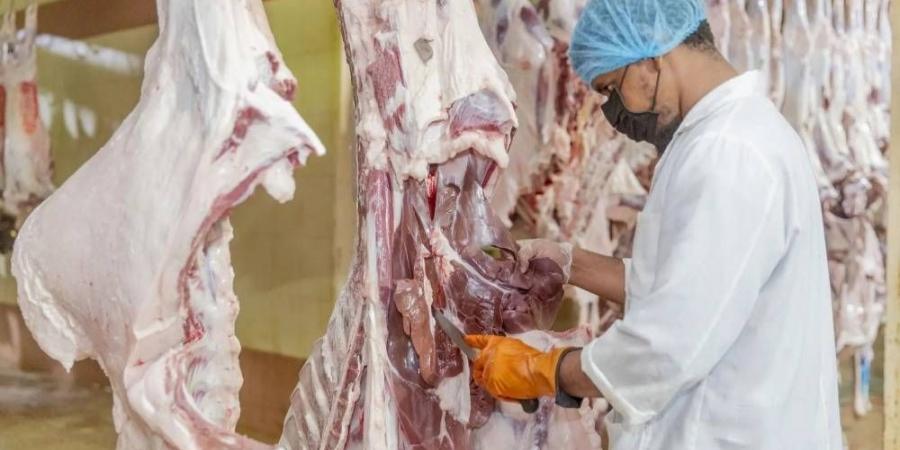 السماح لقصور الأفراح بتصريح مؤقت للذبح