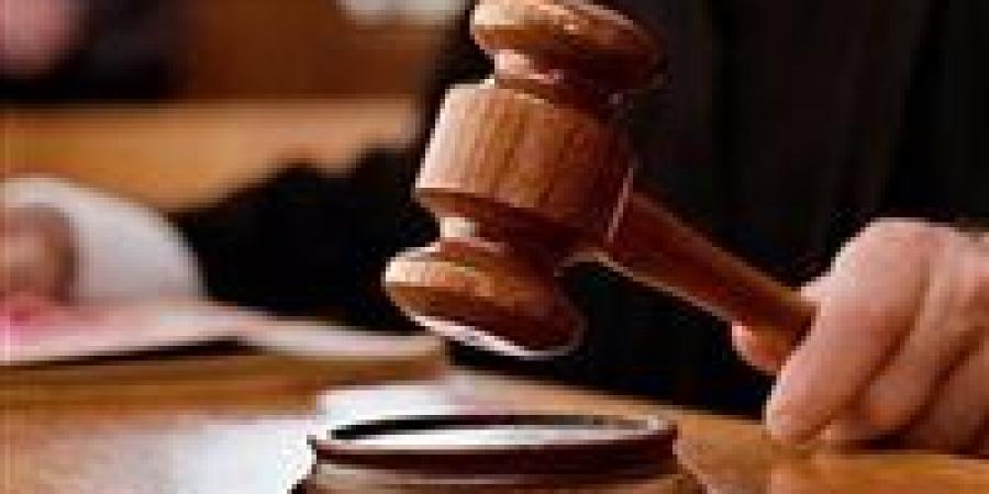 السجن
      المشدد
      10
      سنوات
      وغرامة
      100
      ألف
      جنيه
      لتاجر
      «الآيس»
      بالإسماعيلية