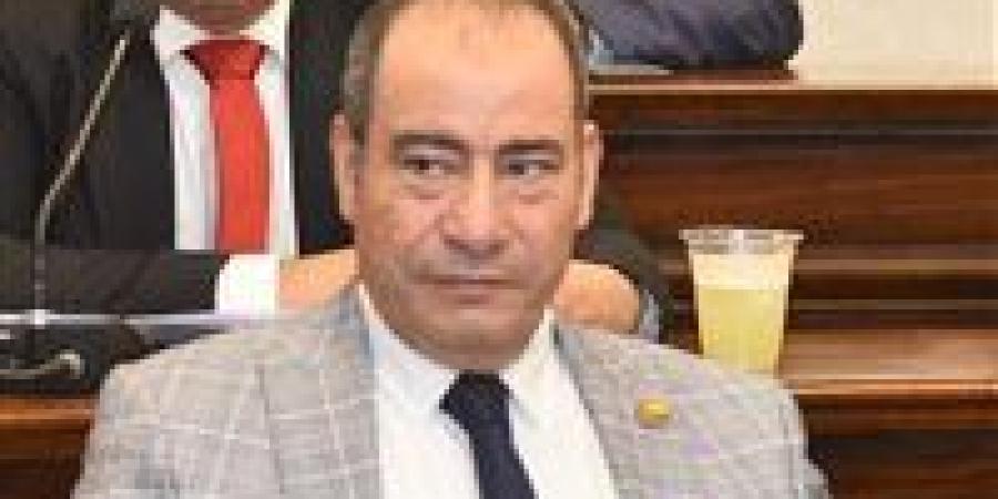 مجاهد
      نصار:
      مصر
      تعزز
      حضورها
      الإقليمي
      عبر
      تحركات
      دبلوماسية
      فاعلة
      لاحتواء
      أزمات
      المنطقة