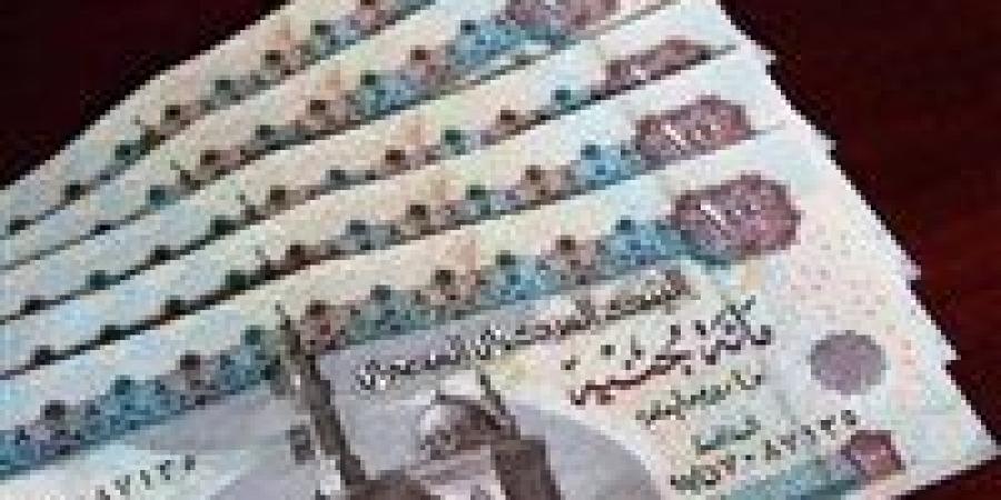 موعد زيادة المعاشات 2026 ونسبة الزيادة المتوقعة
