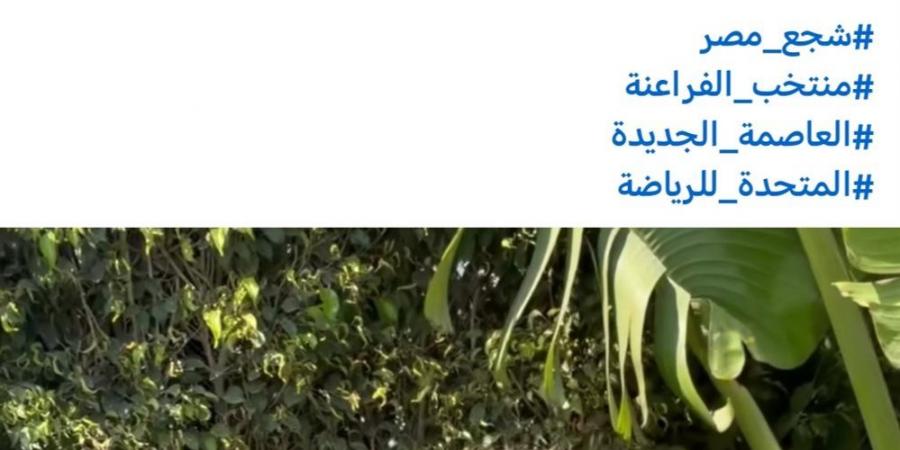 تامر
      حسني
      يحيي
      حفلا
      غنائيا
      باستاد
      القاهرة
      قبل
      مباراة
      مصر
      وروسيا