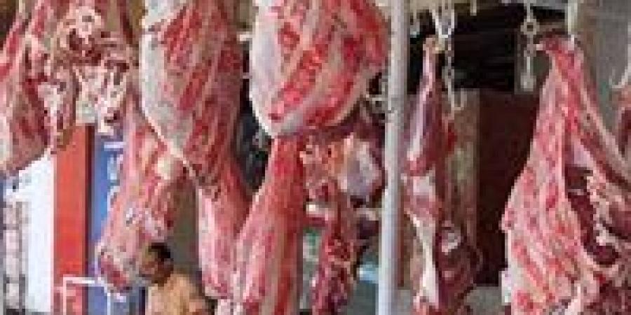 خطة
      طوارئ
      تموينية
      لعيد
      الأضحى:
      ضخ
      لحوم
      طازجة
      بخصومات
      تصل
      إلى
      30%
      وتأمين
      الخبز
      البلدي