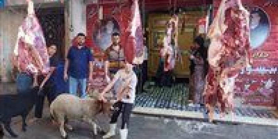 من
      الجزار
      إلى
      المقهى..
      رحلة
      إنفاق
      العيد
      داخل
      السوق